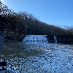 Meet your Posher, Dylan